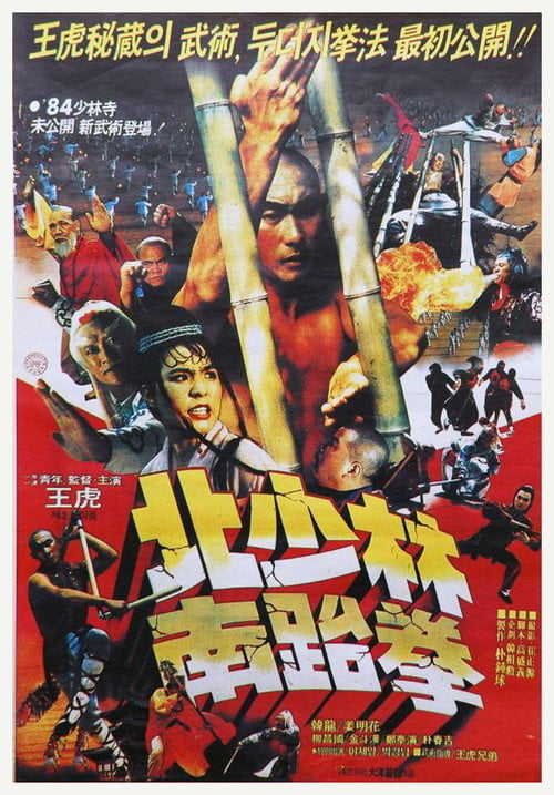 Movie poster for North Shaolin South Taekwon (1984)