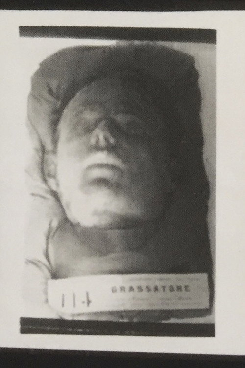 Movie poster for Cesare Lombroso - Sull'odore del garofano (1976)