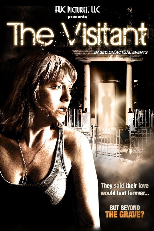 Movie poster for The Visitant (2014)