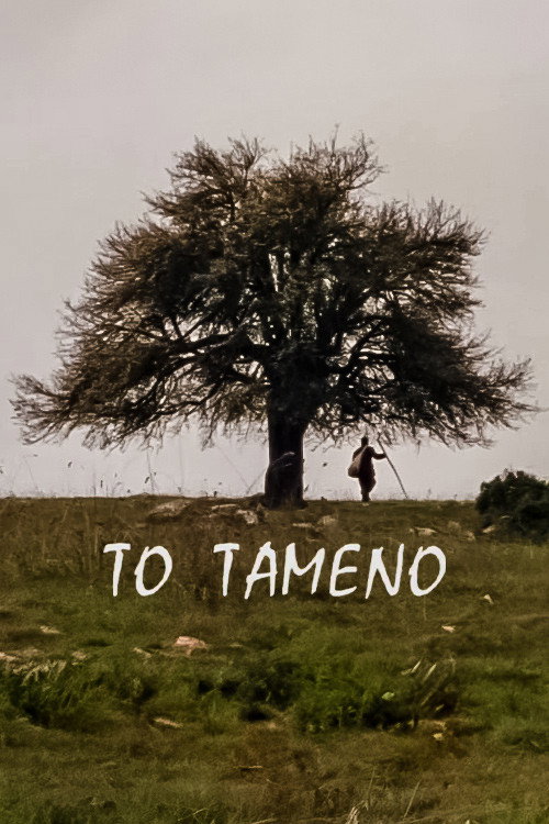 Movie poster for Offered Boy (2002)