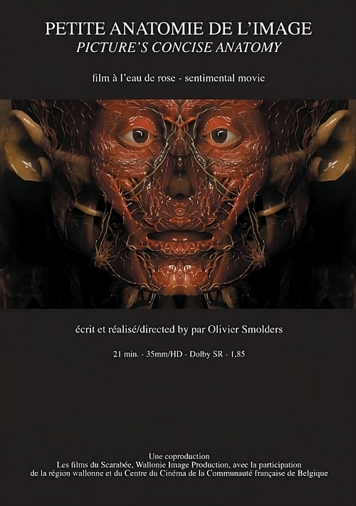 Movie poster for Petite anatomie de l'image (2010)