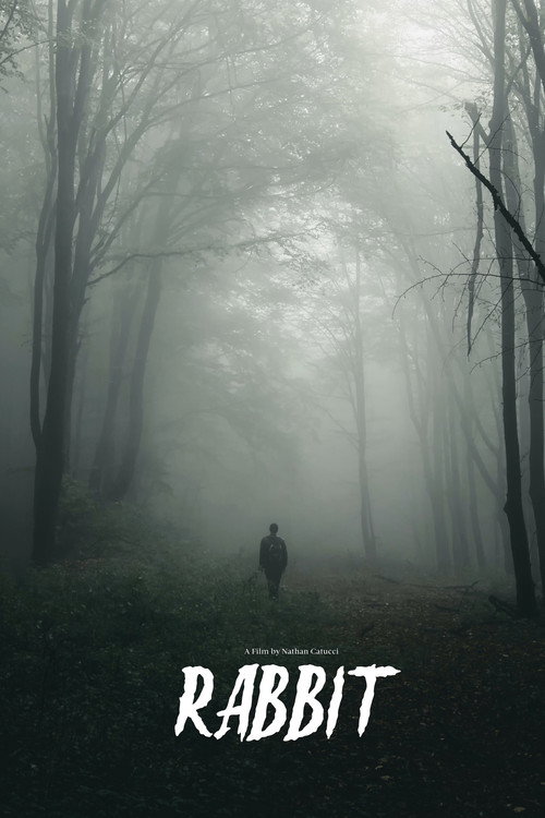 Movie poster for Rabbit (2024)