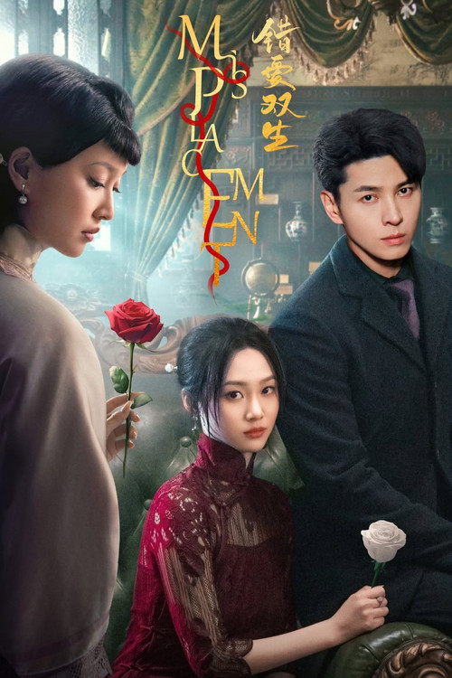 Series poster for Misplacement (2024)