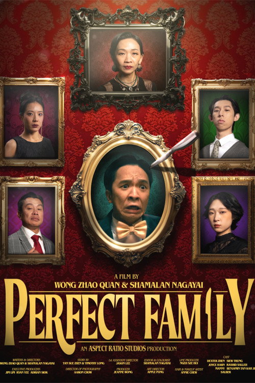 Movie poster for Perfect Family (2025)