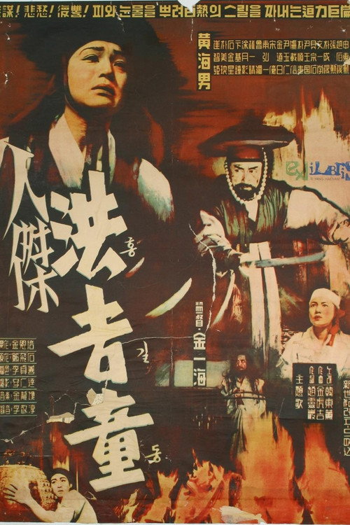 Movie poster for Hong Kil-Dong (1958)