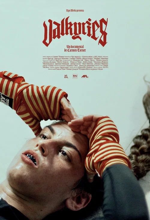 Movie poster for VALKYRIES