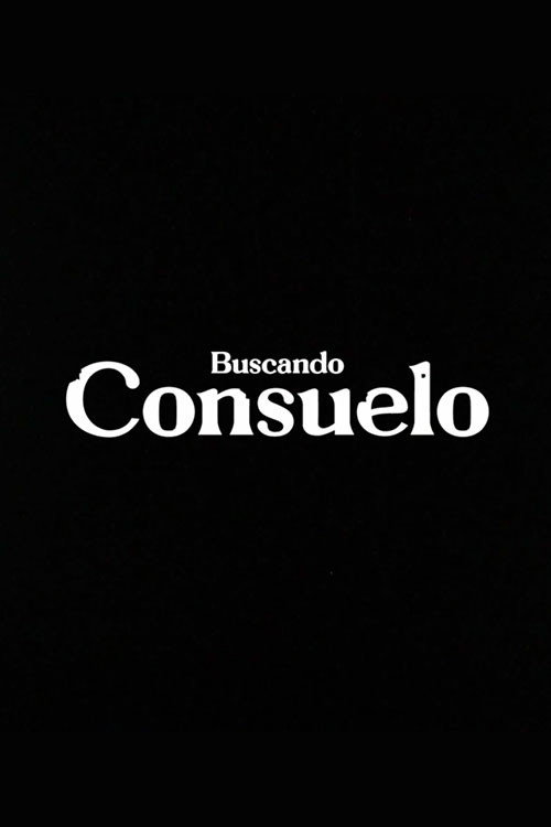 Movie poster for Buscando consuelo (2024)