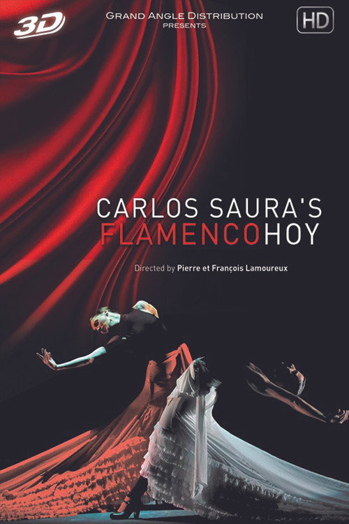 Movie poster for Flamenco Hoy de Carlos Saura (2011)