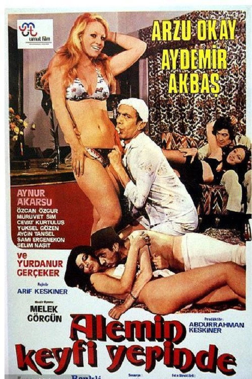 Movie poster for Alemin Keyfi Yerinde (1975)
