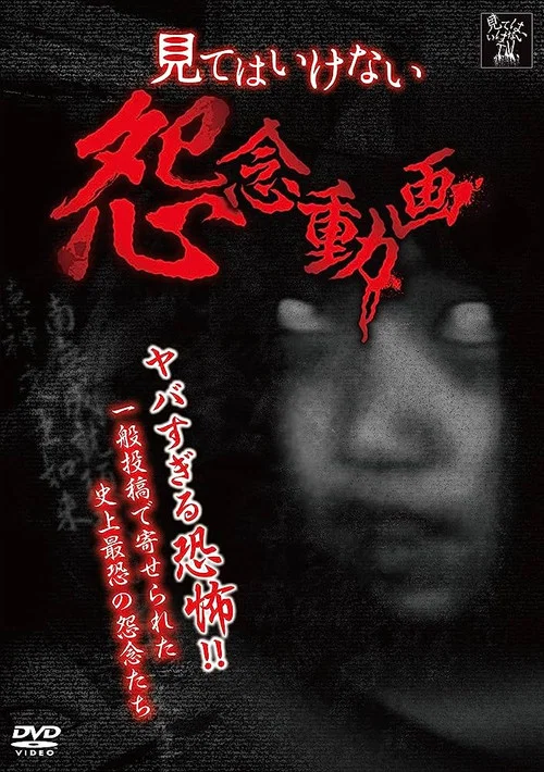 Movie poster for A Grudge Video That You Shouldn't Watch (2013)