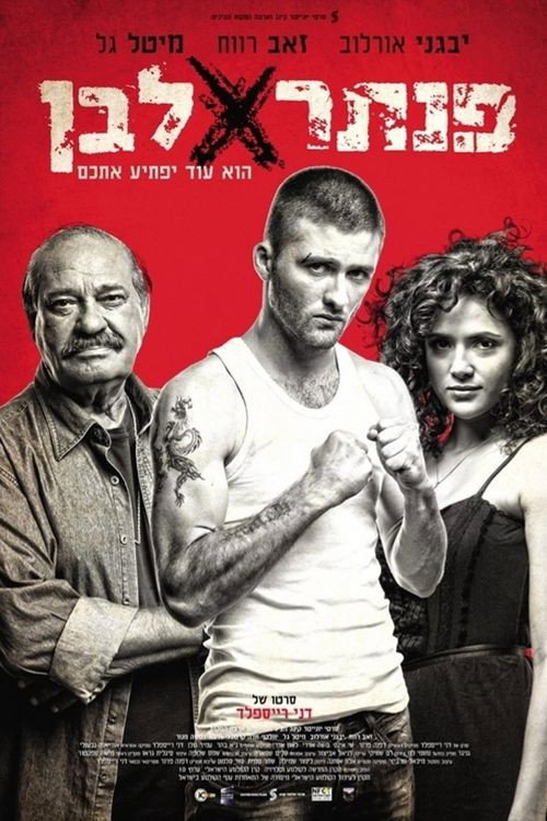 Movie poster for White Panther (2013)