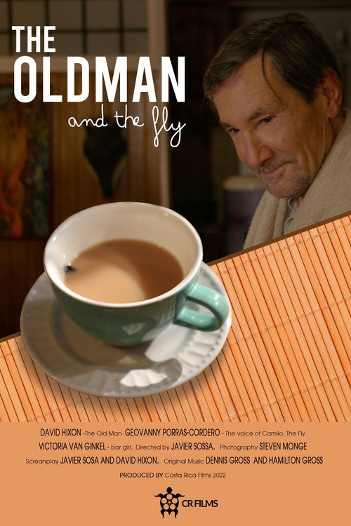 Movie poster for The Old Man and the Fly (2022)