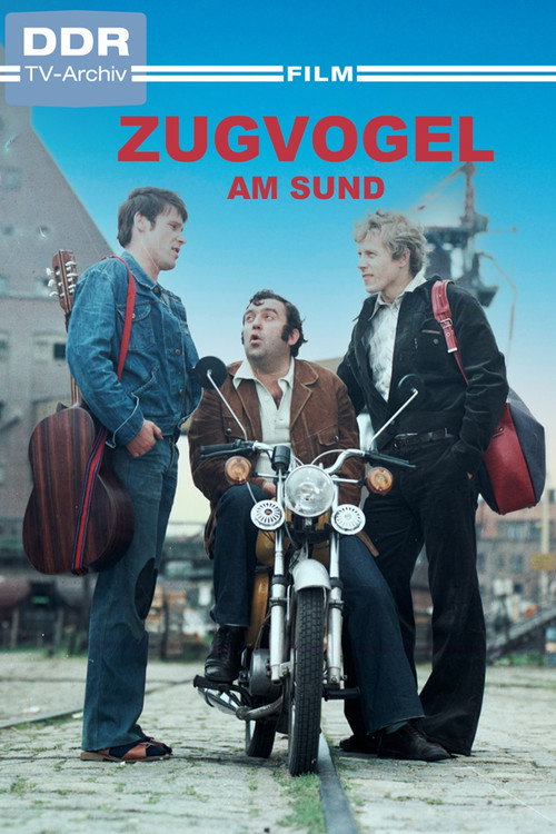 Movie poster for Zugvogel am Sund (1979)