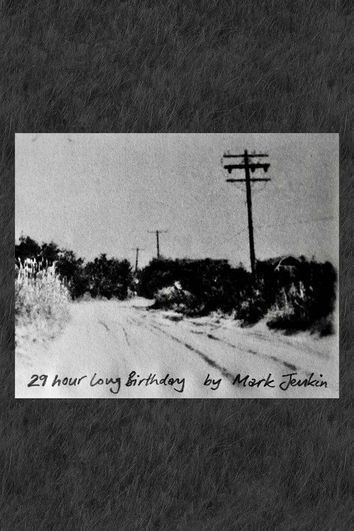 Movie poster for 29 Hour Long Birthday (2022)