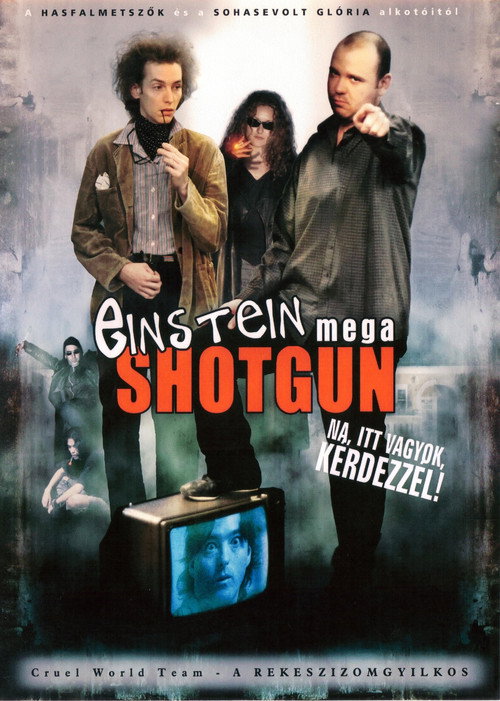 Movie poster for Einstein Mega Shotgun (2003)