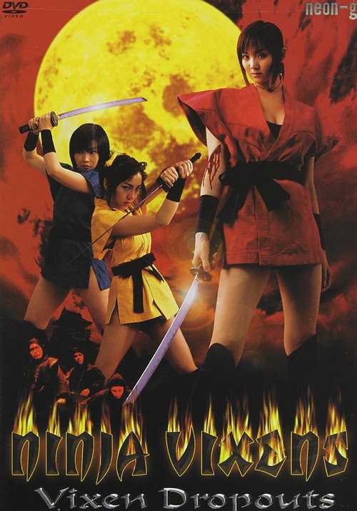 Movie poster for Ninja Vixens: Vixen Dropouts (2002)