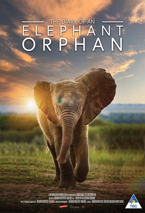 Movie poster for Diary of an Elephant Orphan (2025)