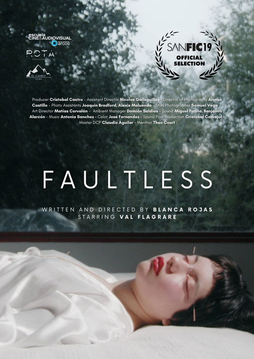 Movie poster for Faultless (2023)