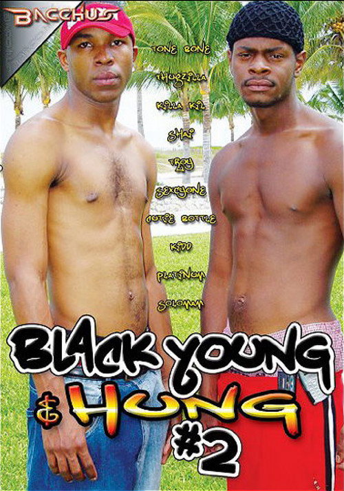 Movie poster for Black Young & Hung 2 (2011)