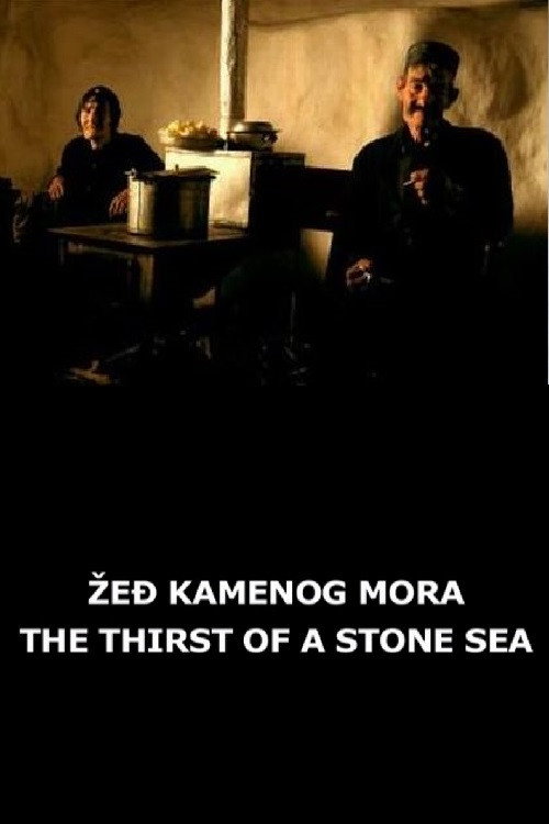 Movie poster for The Thirst of a Stone Sea (2007)
