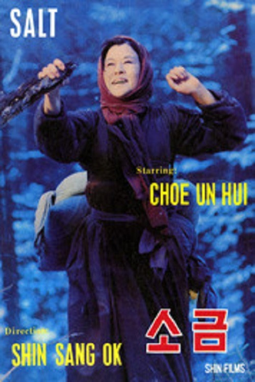 Movie poster for Salt (1985)