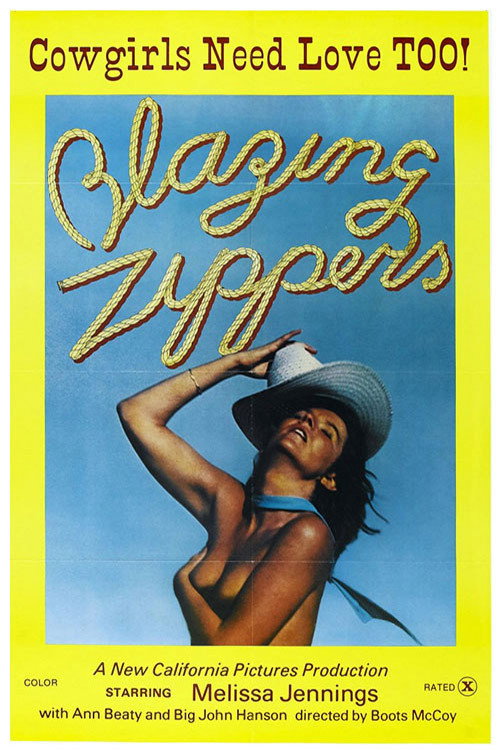Movie poster for Blazing Zippers (1976)