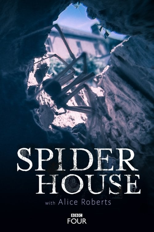Movie poster for Spider House (2014)