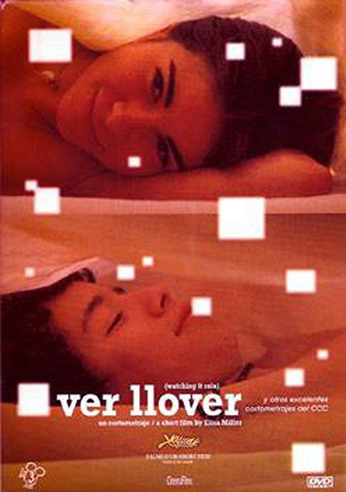 Movie poster for Watching it Rain (2006)