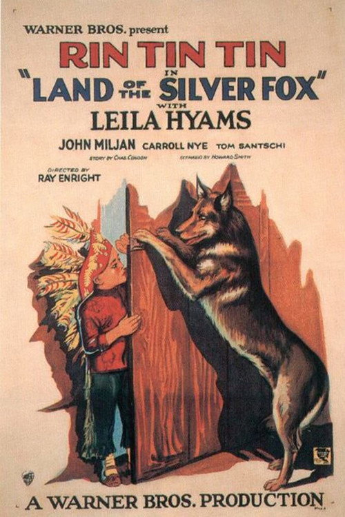 Movie poster for Land of the Silver Fox (1928)