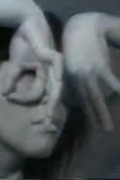 Movie poster for Iris (1979)