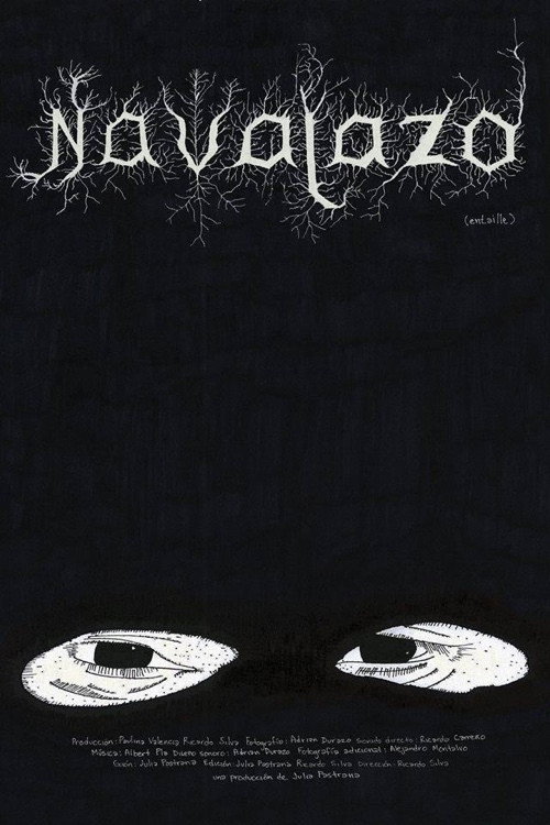 Movie poster for Navajazo (2014)