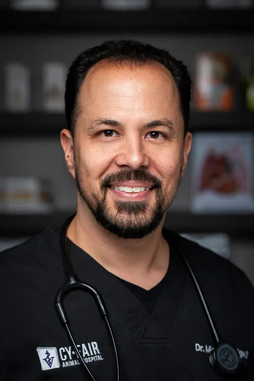 Michael Lavigne profile