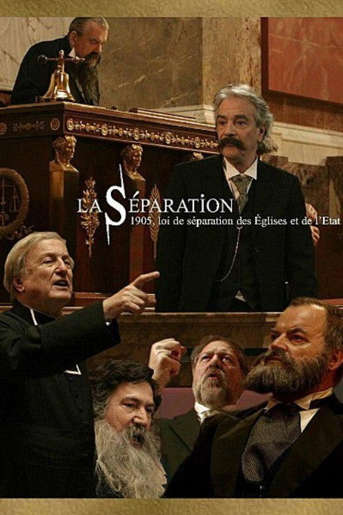 Movie poster for The Separation (2005)