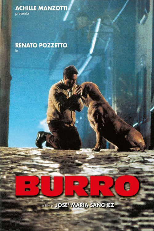 Movie poster for Burro (1989)