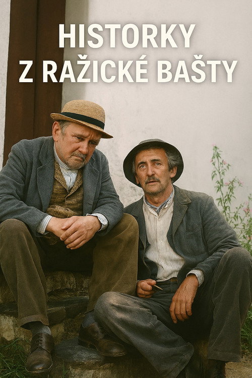 Movie poster for Historky z Ražické bašty (1979)