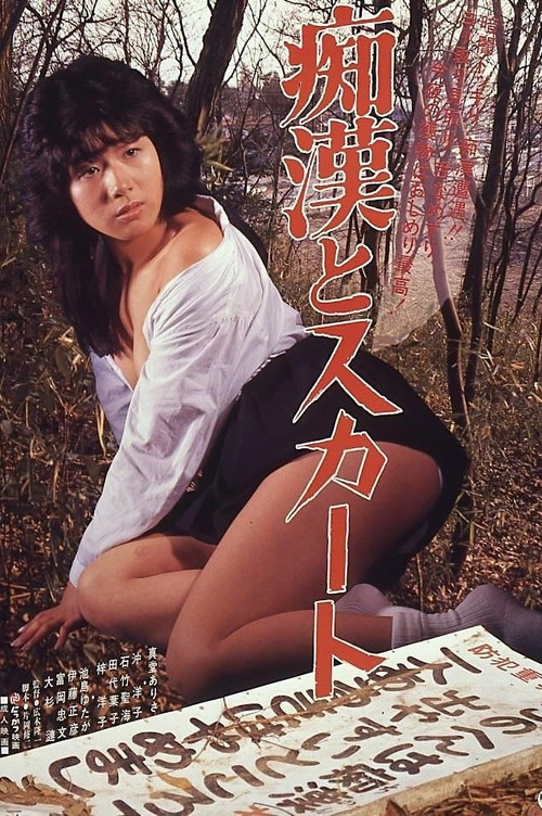 Movie poster for Chikan to sukāto (1984)