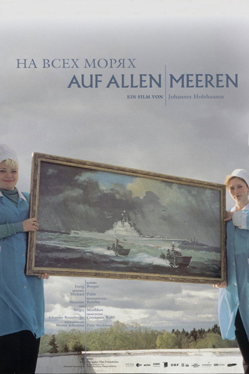 Movie poster for On the Seven Seas (2002)
