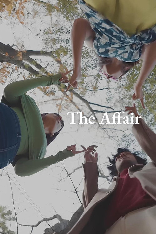 Movie poster for The Affair