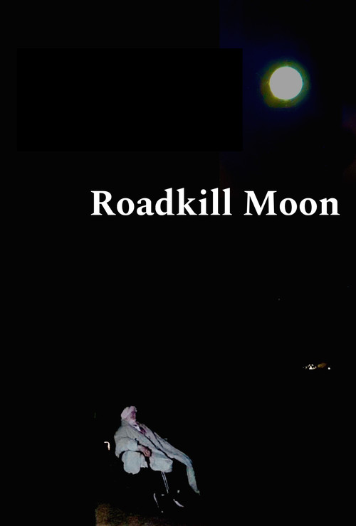 Movie poster for Roadkill Moon