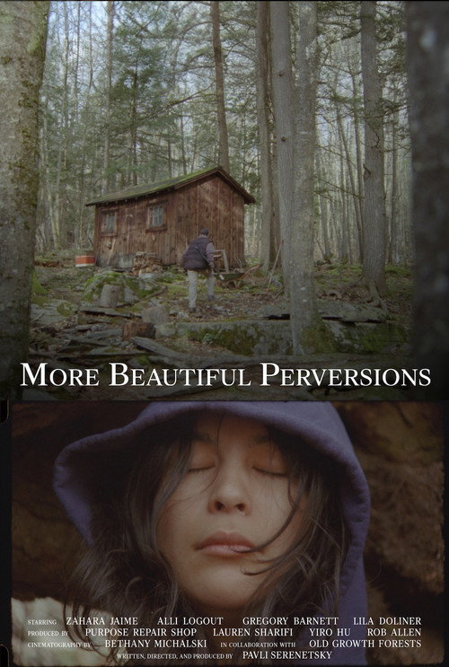 Movie poster for More Beautiful Perversions (2026)