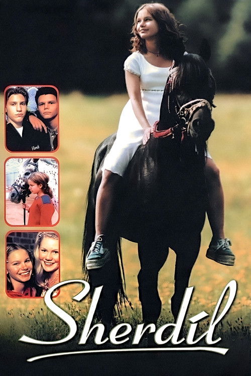 Movie poster for Sherdil (1999)