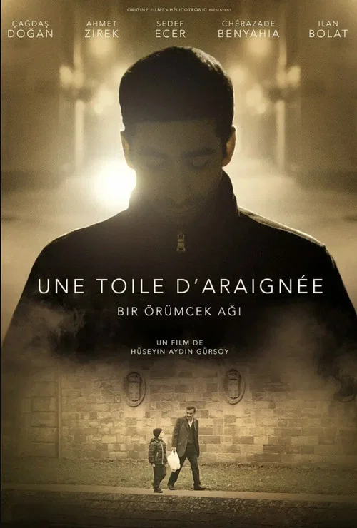 Movie poster for A spider’s web