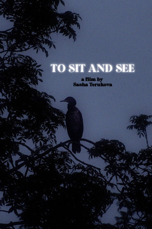 Movie poster for To Sit and See