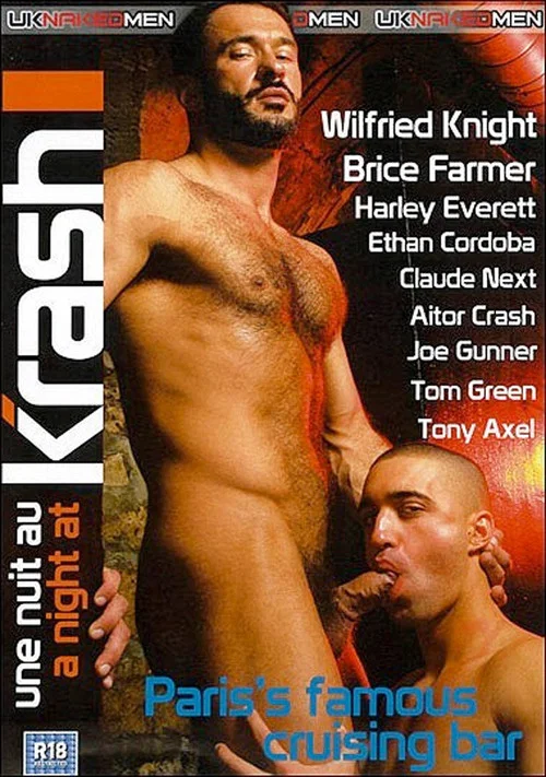 Movie poster for A Night At Krash (2011)