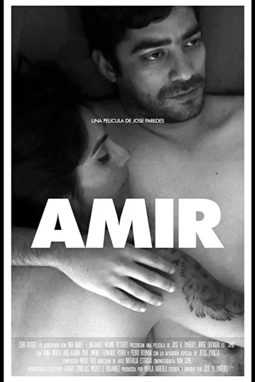 Movie poster for Amir (2016)