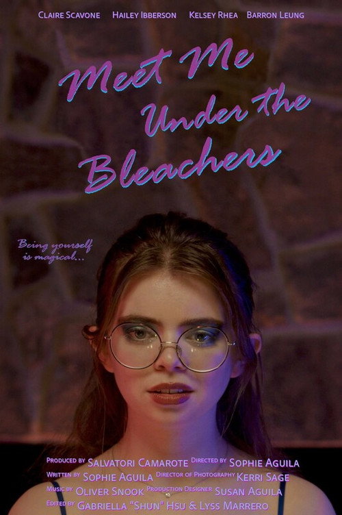 Movie poster for Meet Me Under the Bleachers