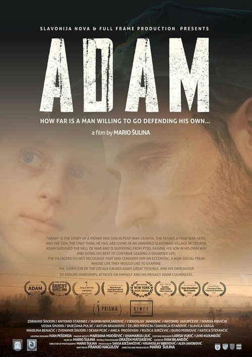 Movie poster for Adam (2020)