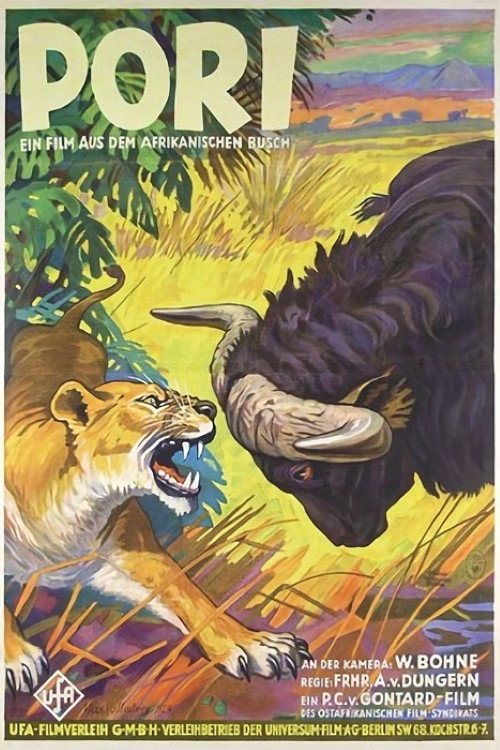 Movie poster for Pori (1929)