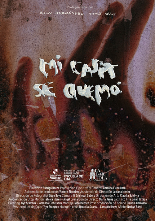 Movie poster for My House got Burned (2025)