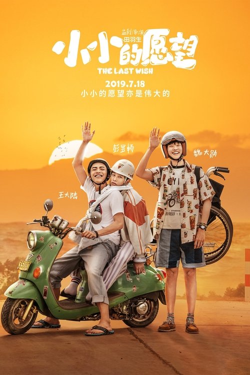 Movie poster for The Last Wish (2019)